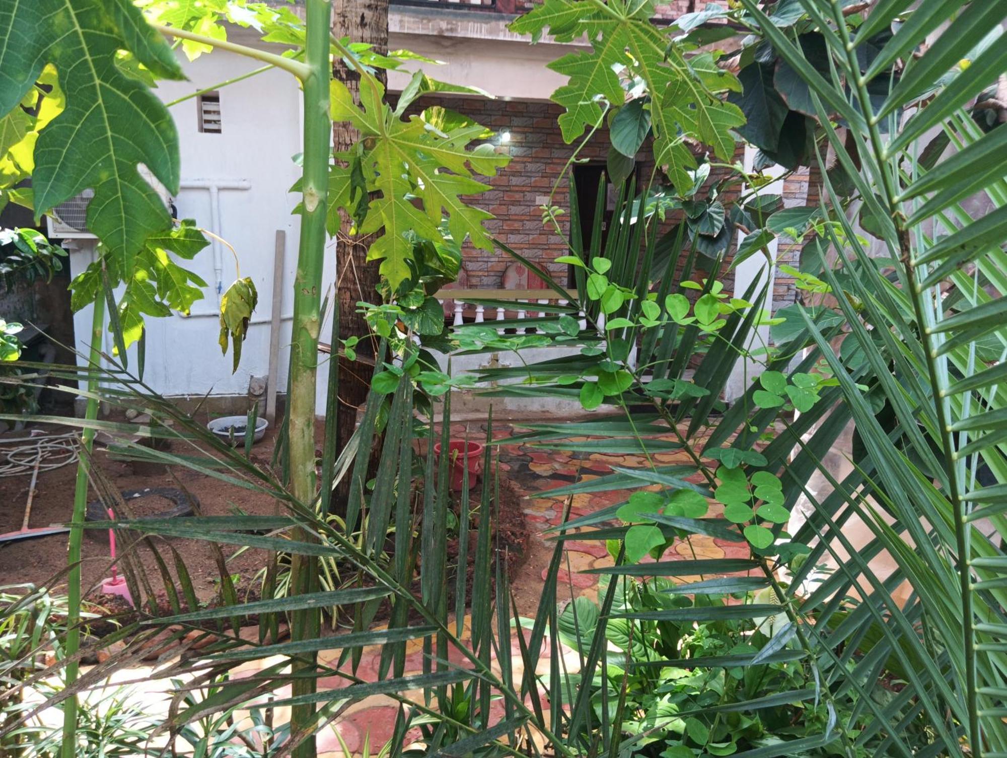 Monsoon Hotel Agonda Phòng bức ảnh